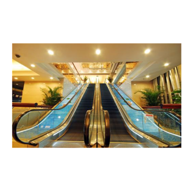 Chinese Manufacturer Customize Heavy Duty Home Cost Glass Escalator